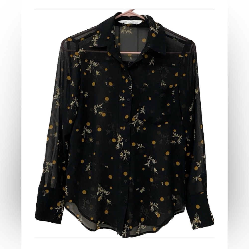 Zara sheer blouse. EUC